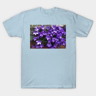 Siberian Bellflower on Garden Wall T-Shirt